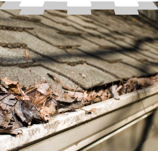 Gutter cleaning service removing leaf debris from a shingle roof in San Jose, CA