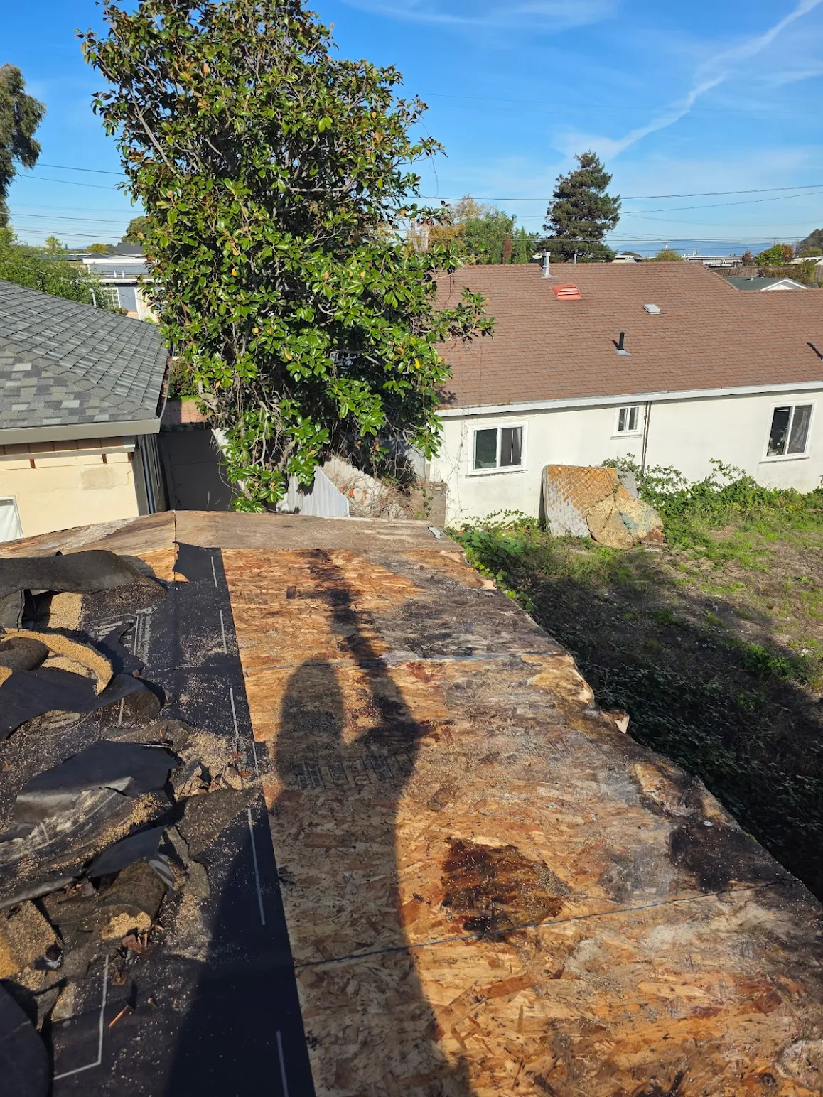 Roof tear-off exposing plywood decking during a roof replacement 